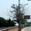 권씨농장 이미지