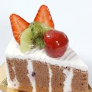 삔언니 Daum카페