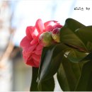 안산 식물원 이미지