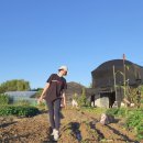 의지농장 이미지