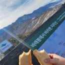 지리산(대구) | 남원 지리산 바래봉 최단코스 설산 산행 후기