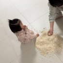 위씽아트 어린이집 놀이터 | 3월 : 경주 코스믹리조트, 어린이집 등원, 다이어트식단, 동성로