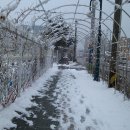 속초초등학교 이미지