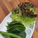 두꺼비왕족발보쌈옥계점 이미지