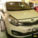 뉴오일존 이미지