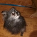 가평 시골집 이미지