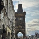 점촌-소로3-231 | 🇨🇿 프라하 까를교 전망대 / 🍨젤라또 맛집 크렘데라크렘 Creme de la creme / 팔라디움 백화점 알버트 마트