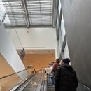 Museum of Modern art : MOMA 뉴욕 현대미술관 관람 후기, 층별 주요 작품 위치, 모마스토어 기념품 가격