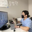 파랑새동물병원 이미지