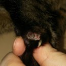 세강카정비 이미지