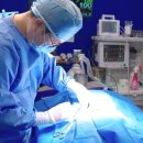 이수동물병원 이미지