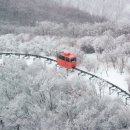 스카이랜드 이미지