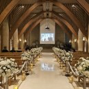 광진 뚝섬로32길 | 웨딩 본식부케 화니플로르 C-14 화이트 카라 튤립 믹스 찐 후기