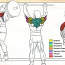 해시피트니스 이미지