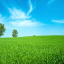 한구목장 이미지