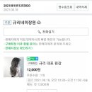 규리네 이미지
