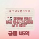 중앙대로L 네이버블로그