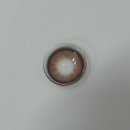 룰루PC | 따뜻한 브라운, 하파크리스틴 돌리 크리스틴 원데이 초코 내돈내산 후기