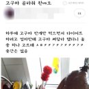 토마토식당 이미지