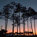 경산참기름 이미지