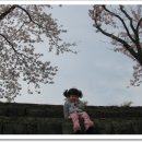 구공설운동장 이미지