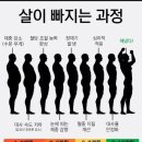 잇피티 네이버블로그
