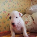 도봉-도봉-2431 이미지