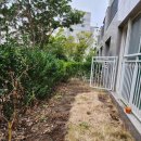 꿈에그린2차 이미지