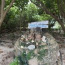 거북이 게임랜드 이미지