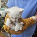 한솔가축병원 이미지