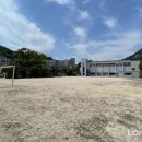 생명의 숲 이미지