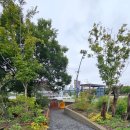 이진규농장 이미지