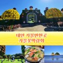 태안읍사무소 | 가을 10월 축제 안면도 가볼만한곳 태안 가을꽃박람회 가을꽃축제 코리아플라워파크