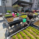 근산유치원 이미지