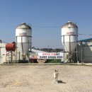 닭사랑농장 이미지