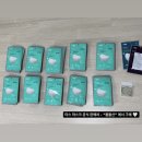 봄들산 | 타스마스크 내돈내산 후기2 (봄들산/타스마스크 공식판매처 구입) 마스크추천