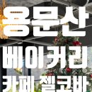 힐링데이 | 용문산 카페 젤코바 ⁞ 양평 베이커리카페 젤코바 반려동물 삭이랑 효도 데이트 💘
