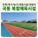생활체육공원 인조구장B구장 | 트랙 운동장 [국동 복합 체육 시설] 주민 무료 이용...달리기 러닝 어르신 걷기 인조잔디 축구장 농구대...