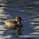 바다동물병원 이미지