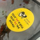 당산로↔군포로 | 흔한 직장인의 연차 일과, 롤 술