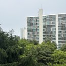 세븐일레븐 분당청솔주공점 | 미금역 청솔마을주공9단지아파트 임장 기록