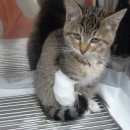 구미옥계동물병원 이미지