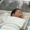 7층애약국 | 창원 모란여성병원 제왕절개 입원 후기 (3)