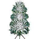 삼진상사 이미지