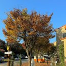 무인호텔 르쉬 이미지