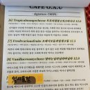 카페오아유