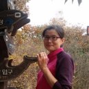 갈바람님 여행기록방(2025년 12월)128회부터 기록 이미지