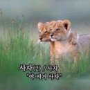 신세계할인마트 - 구미시 송정대로6길 16 | 스토케 트립트랩, 요요3 유모차 신세계백화점 할인 구매후기 / 직구 가격 비교 정리 내돈내산