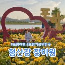 형산강 장미원 | 포항 장미 형산강 장미원 5월말 다녀온 후기 포항가볼만한곳