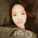 제주도 레인보우 네이버블로그